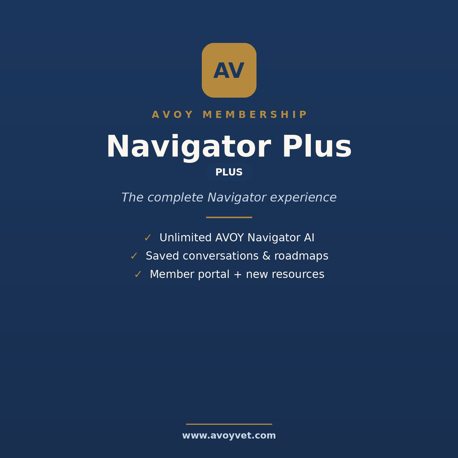 AVOY Navigator Plus