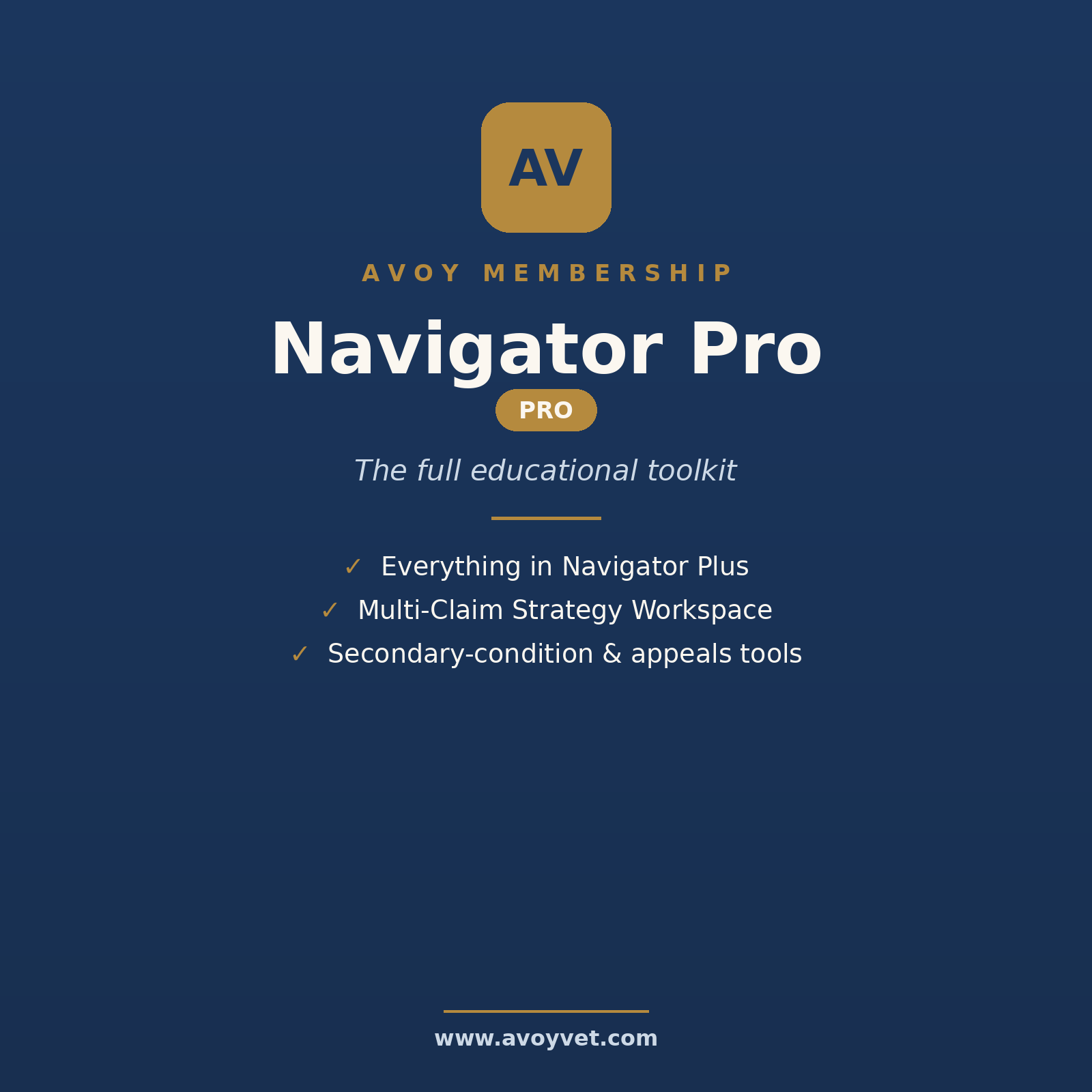 AVOY Navigator Pro